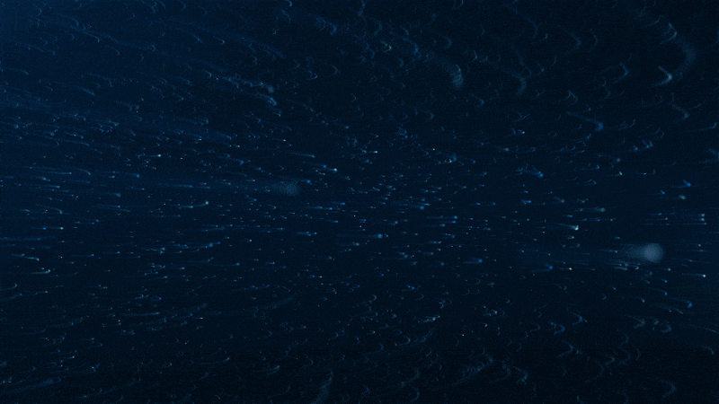 t3d_logo_gif-ezgif.com-optimize